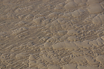 Rippel und andere durch Wasserströmung verursachte Strukturen im Sandwatt