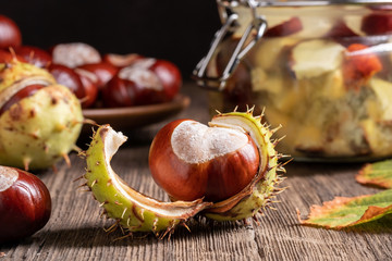 Detail of a horse chestnut with a jar of tincture