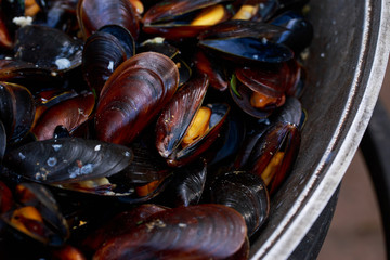 Fresh mussels at grill pan