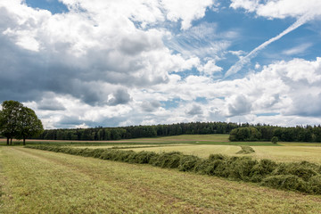 Big meadow with cut grass in the middle of the german countryside