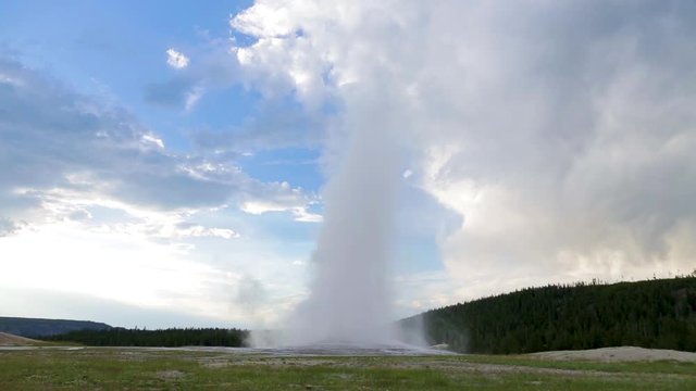 Old Faithful Geyser starting to erupt Yellowstone 4K. Predictable geographical geological features erupting every 63 minutes. 3 million visitors come to Yellowstone each year. Height 185 feet.