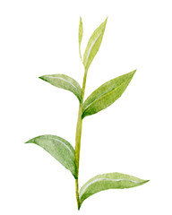 Watercolor elements of Chinese culture.