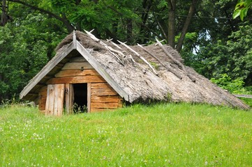 Housing of people in Ukraine in ancient centuries