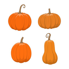 Halloween pumpkins set. Different shapes orange gourd isolated on white background. Vector illustration in cartoon style