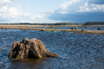  strain in the river bed
