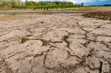 dry soil in the field