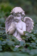 Statue of a little cherub praying as decoration on a grave
