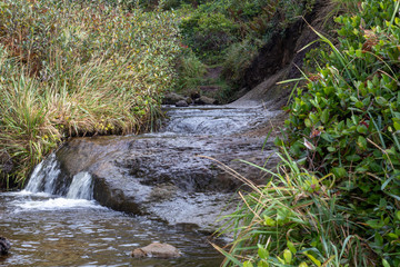 Oregon Coast, West Coast Beaches, Pacific Northwest Beach
