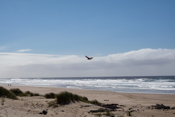 Oregon Coast, West Coast Beaches, Pacific Northwest Beach