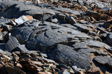Rock with Glacial Striations in Desolation Wilderness 