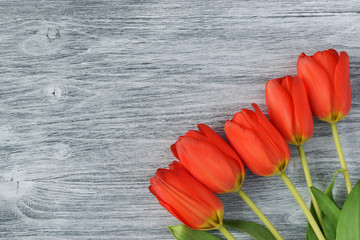Orange tulips on gray wooden background. Top view. Copy space