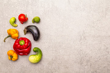 Trendy ugly organic vegetables. Assortment of fresh pepper, eggplant, cucumber, tomato, pumpkin