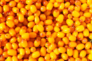 Fresh berries of sea buckthorn. Close-up. Top view. Background. Texture.