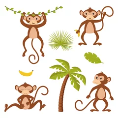 Foto op Plexiglas Aap set van geïsoleerde aap met planten