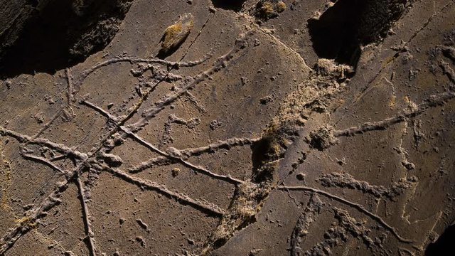 Penascosa Archaeological Site, Castelho Melhor, C&ocirc;a Valley, Western Iberia, Portugal, Europe, Rewilding Europe