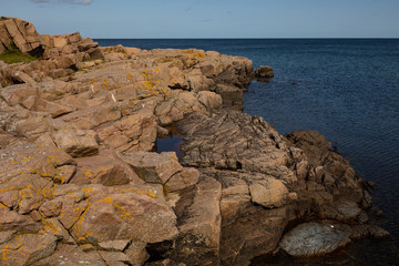 coast of sea, unique rocky coast on the island of Bornholm