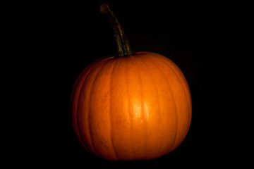 Pumpkin in darkness. Halloween mood.