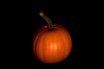Pumpkin in darkness. Halloween mood.