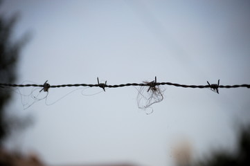 Barbed wire with hair on a background of the sky	