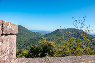 Big walls of a castle made of sandstone with a wide view above the forest