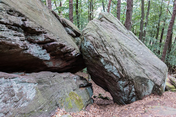 Fototapeta na wymiar Big rocks in the middle of the green forest