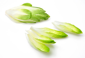 Obraz premium Chicory on white background チコリ