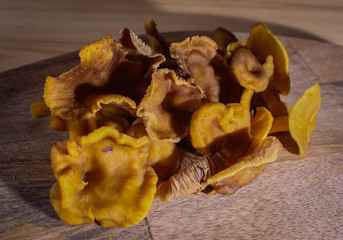Tubular mushrooms chanterelles lying on a wooden board