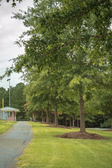 Pathway in a park with green vegetation
