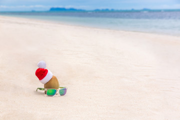 Coconut in a Santa Christmas hat with sunglasses in sand on a tropical beach. Holiday tropic summer concept