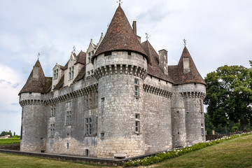 Fototapeta na wymiar Monbazillac Castle with vineyard, Aquitaine, France