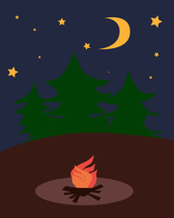    bonfire night in a pine forest        