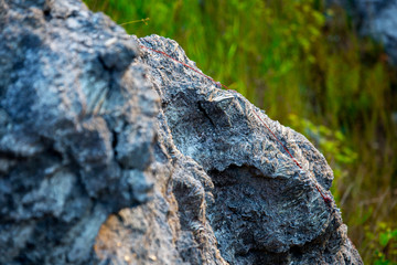A rock in the shape of a scary skull in profile. The mica sheets and quartz silicate minerals. Bare geological rock rock among the vegetation on the ledges.