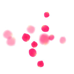 Rose gold petals flying cosmetics vector background.