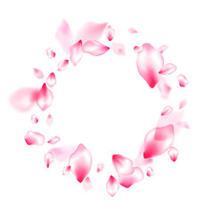 Spring tree flowers parts, airy flying petals