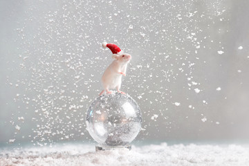 A mouse with a cap of Santa Claus stands on a transparent ball in snowy weather.Chinese new year 2020 creative concept.