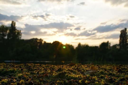 MoosIicht