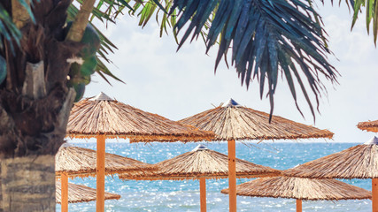 Coastal landscape - view of the beach umbrellas and loungers, city of Varna, on the Black Sea coast of Bulgaria