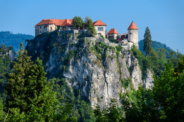 Fototapeta na wymiar The historic medieval castle on a rock on the shore of Lake Bled is a symbol of Slovenia.