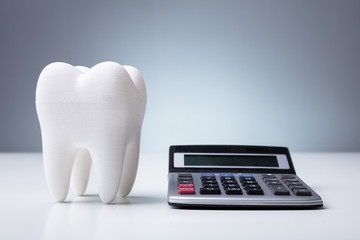 Model Tooth Near Calculator Over Desk