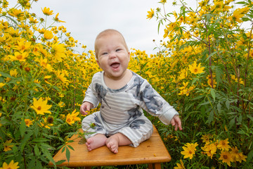 baby in sunflowers