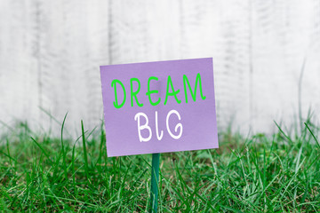 Writing note showing Dream Big. Business concept for To think of something high value that you want to achieve Plain paper attached to stick and placed in the grassy land