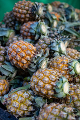 A group of fresh small pineapple fruits at Thai Market