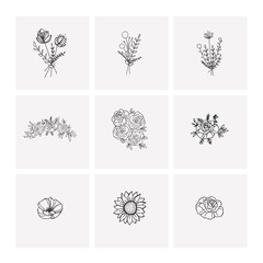 Hand drawn Collection of Florals and Flowers