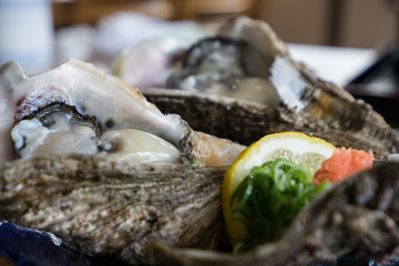 牡蠣　oyster