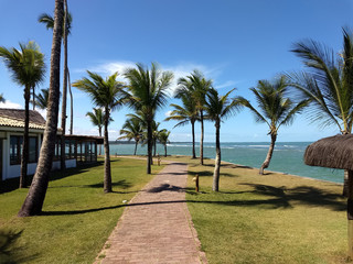 Obraz na płótnie Canvas Footbridge on the beach with palmtrees, green grass and blue sky