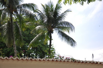 Paraty - Rio de Janeiro - Brasil