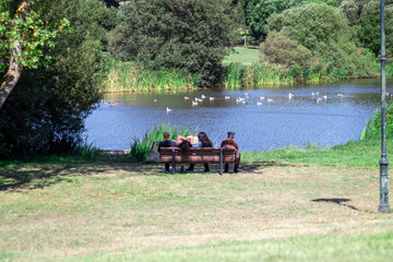 Obraz premium familia no lago