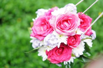 bouquet of pink roses