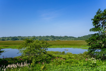 霧ヶ峰　夏の八島ヶ原湿原　長野県