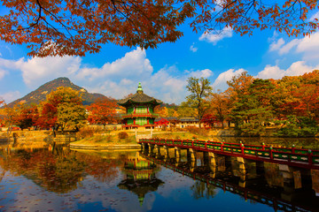Fototapeta na wymiar Autumn season of Gyeongbokgung Palace in Seoul,South Korea.